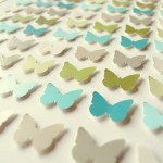 butterfly4