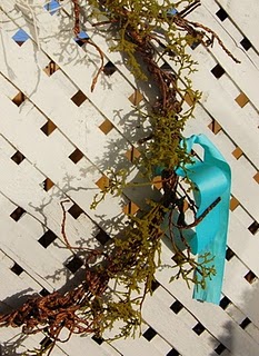 My Back Deck: A Holiday Vignette in Turquoise (2010)