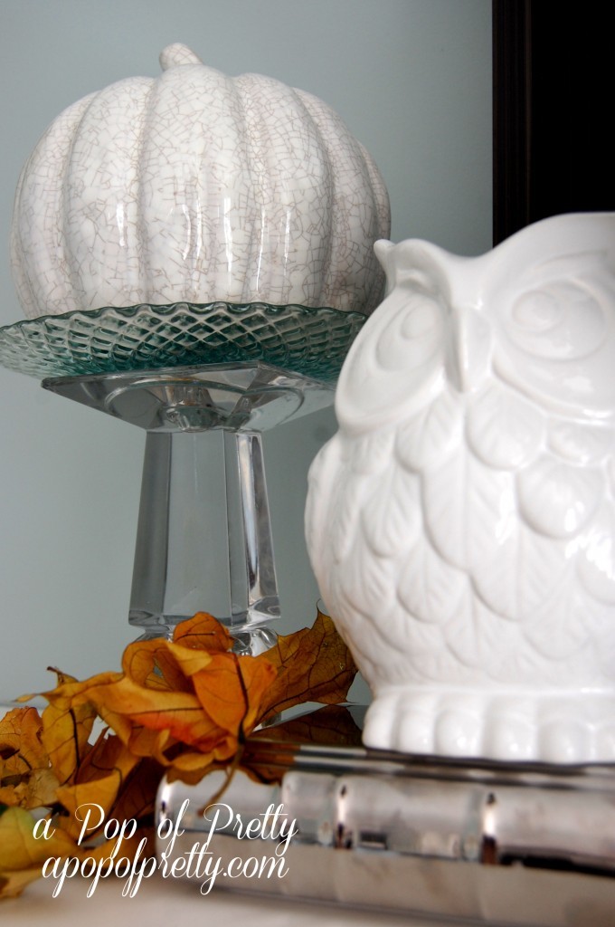 owl Fall decor