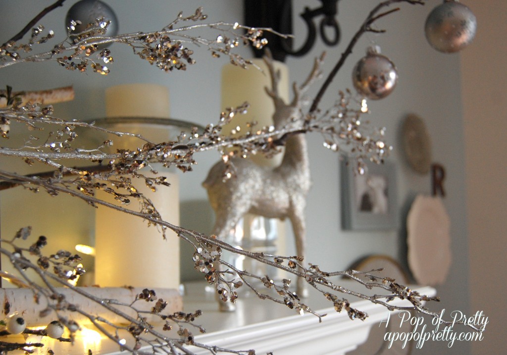 Winter Mantel Decor