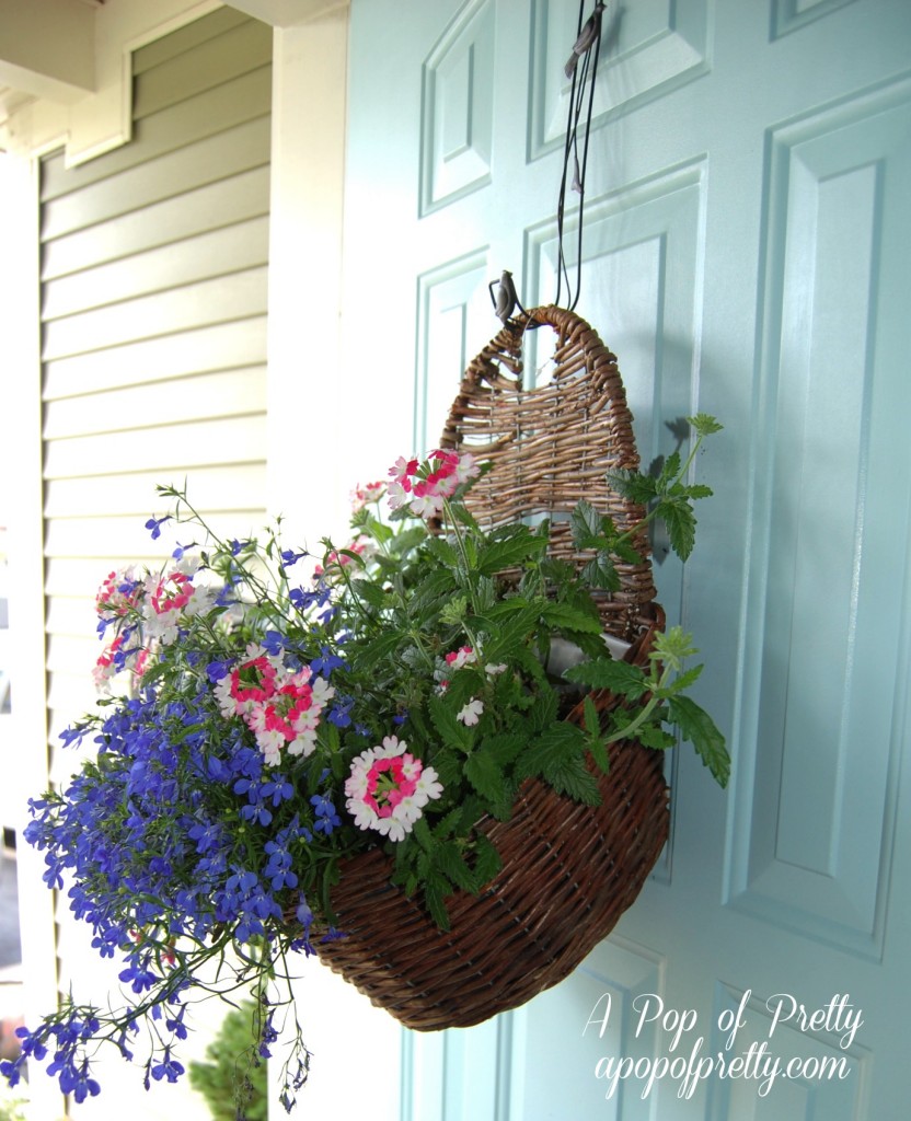 acontainer gardening in a hanging basket