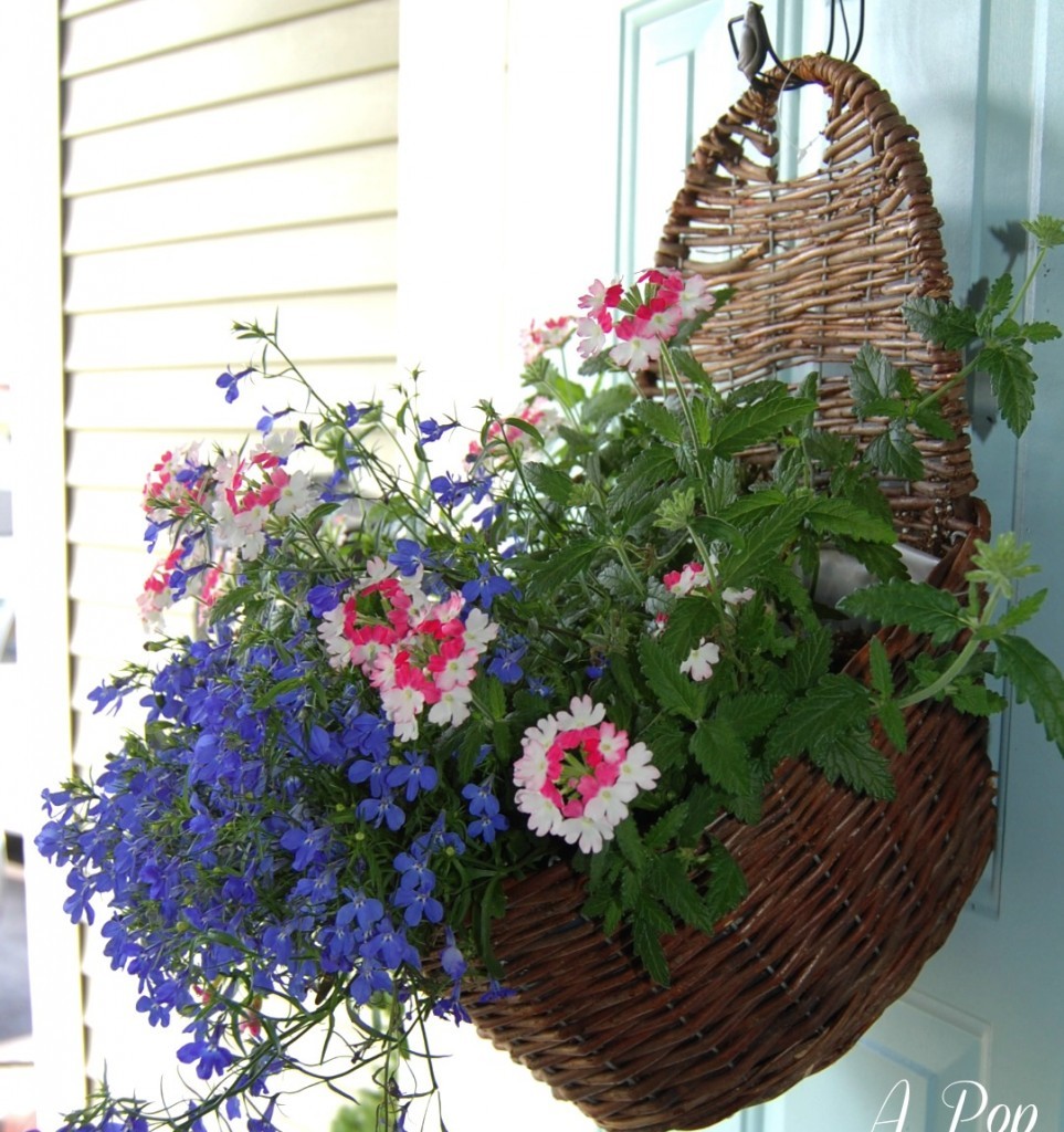 container gardening in a hanging basket