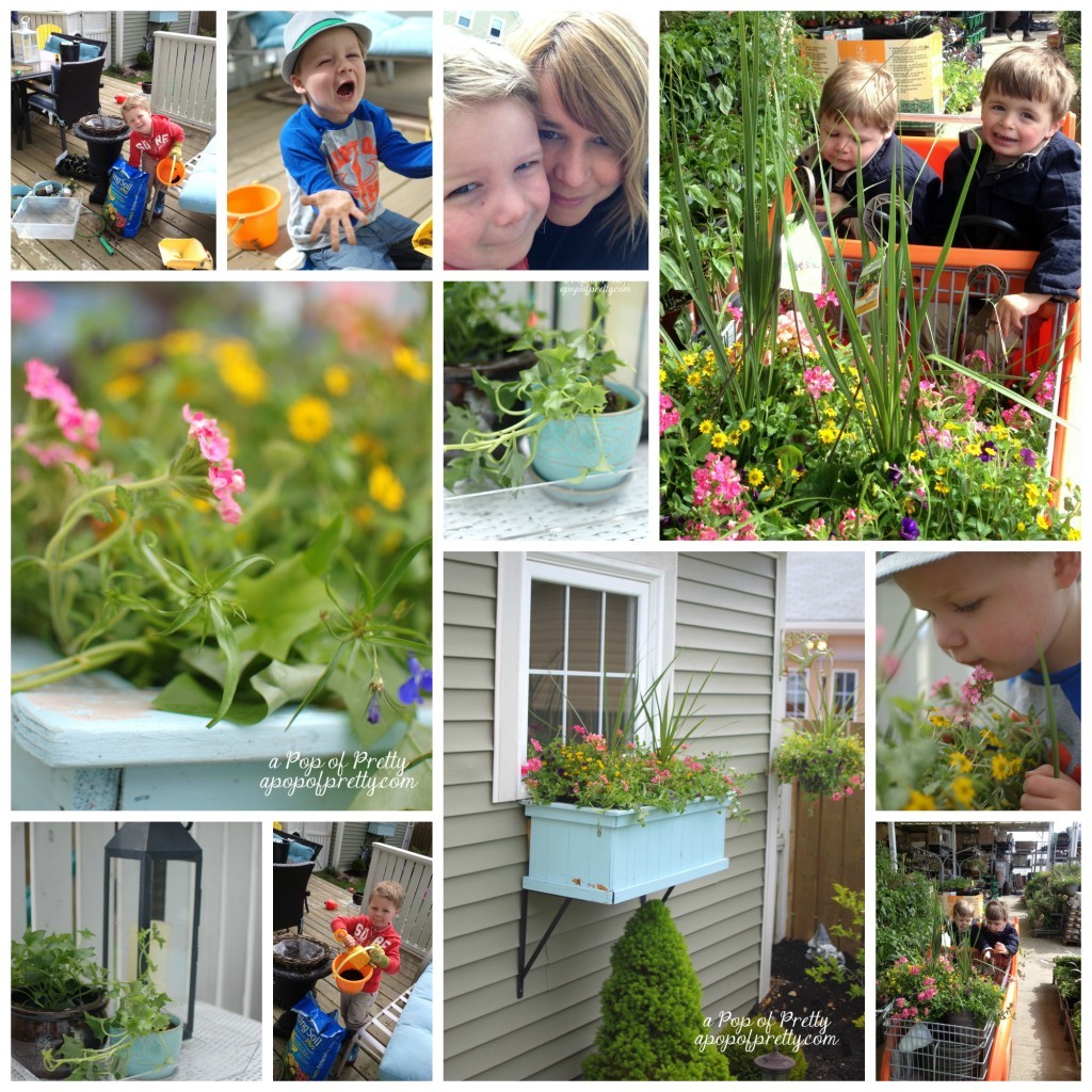 Gardening 2013 Collage