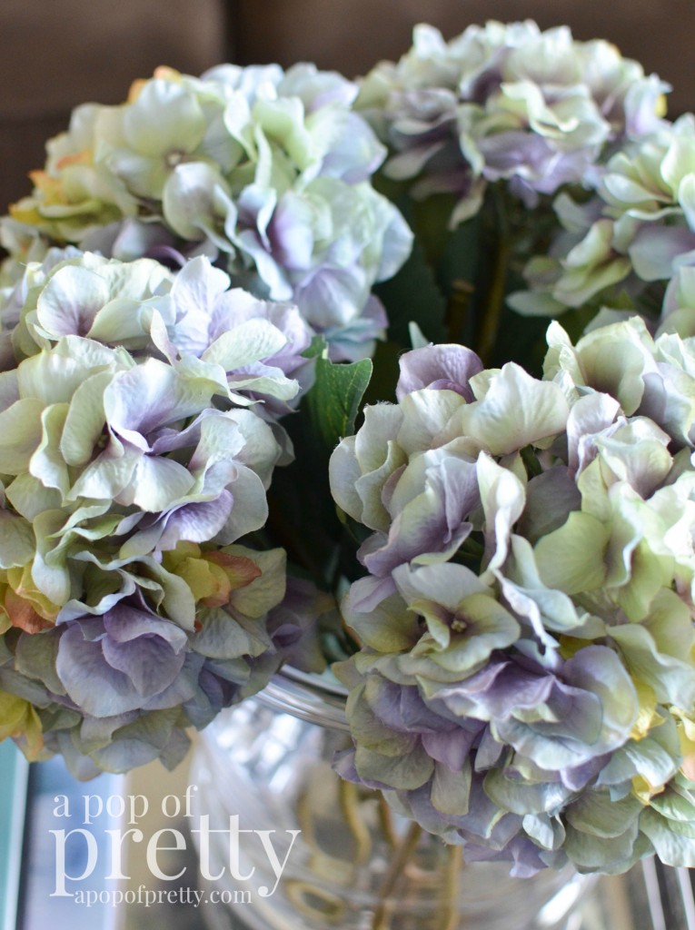 spring hydrangeas