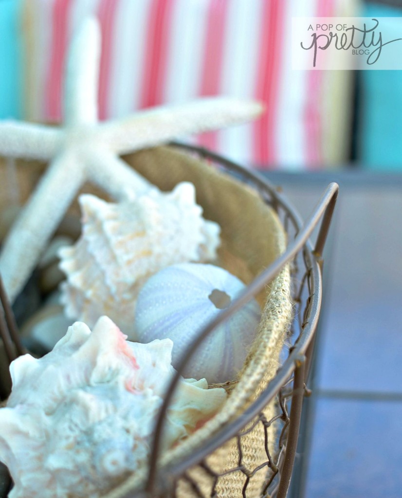 nautical decor - shells