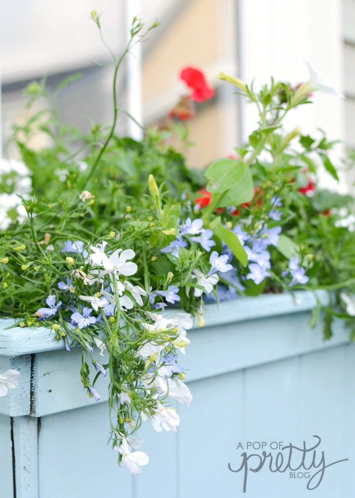 summer decorating flower box