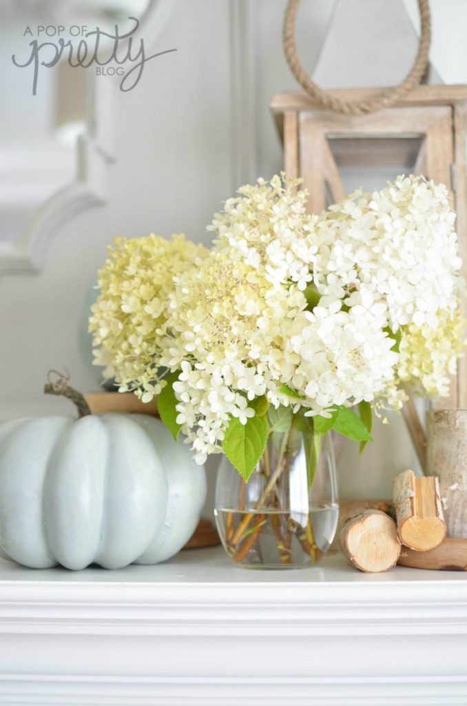 decorating with hydrangeas 2 in the Fall