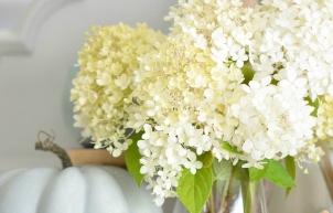 Early Fall Decorating with Hydrangeas